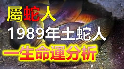 1989蛇男|1989年屬蛇人：一生的性格及命運